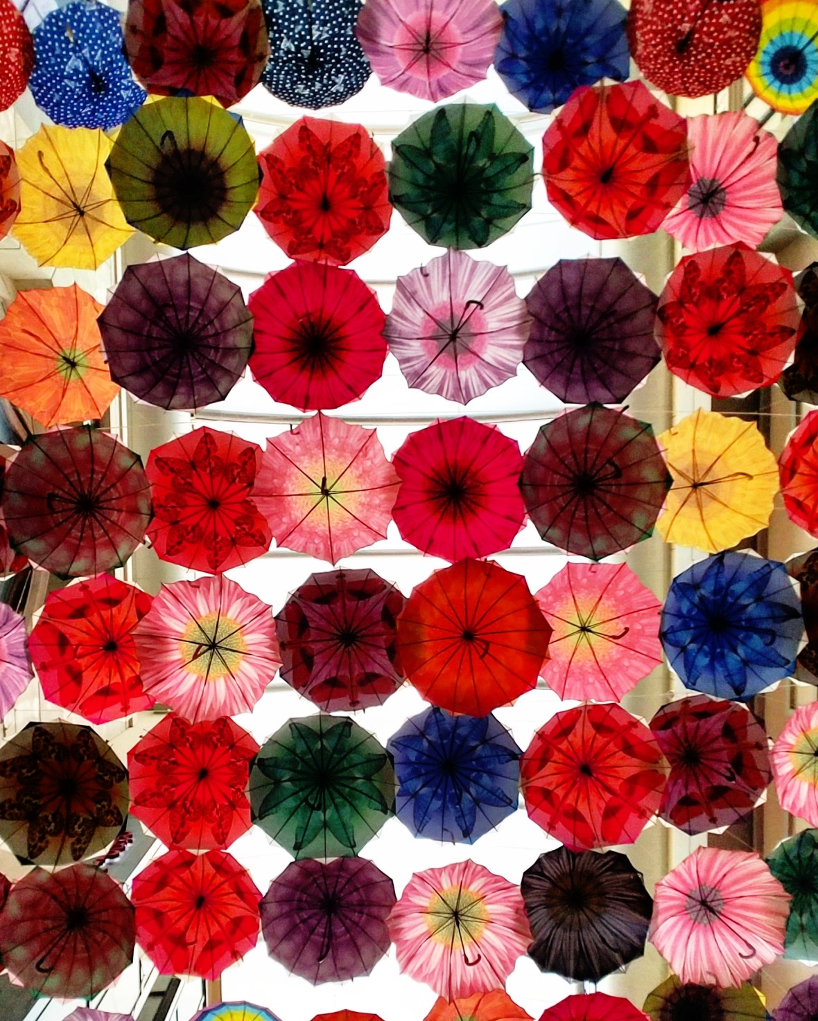 IMG_20170305_151319_607